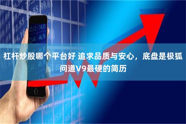 杠杆炒股哪个平台好 追求品质与安心，底盘是极狐问道V9最硬的简历